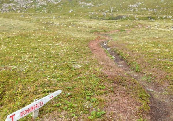 Отель Nyksundrom, Nyksund Экстерьер фото
